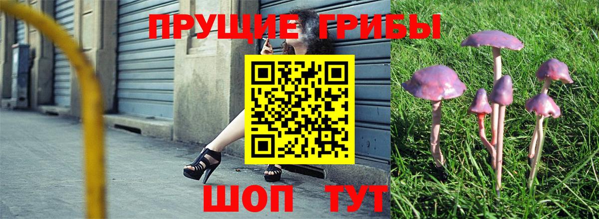 Магнитогорск  Галлюциногенные грибы Magic Shrooms  Вход с VPN  Псилоцибиновые грибы мицелий 