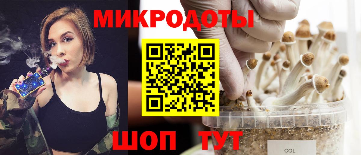 Псилоцибиновые грибы Psilocybine cubensis Магнитогорск